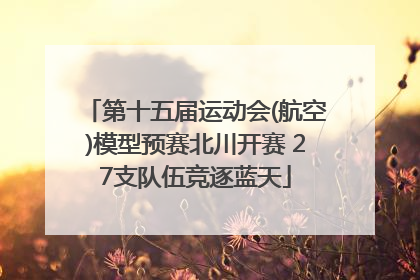第十五届运动会(航空)模型预赛北川开赛 27支队伍竞逐蓝天