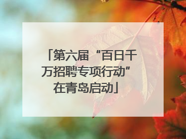 第六届“百日千万招聘专项行动”在青岛启动