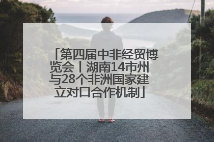 第四届中非经贸博览会丨湖南14市州与28个非洲国家建立对口合作机制
