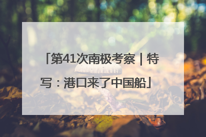 第41次南极考察｜特写：港口来了中国船