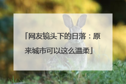 网友镜头下的日落：原来城市可以这么温柔