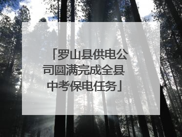 罗山县供电公司圆满完成全县中考保电任务