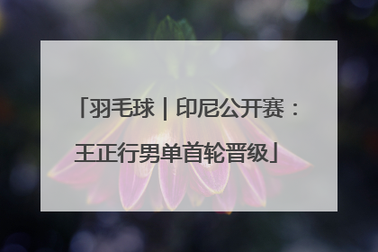 羽毛球｜印尼公开赛：王正行男单首轮晋级