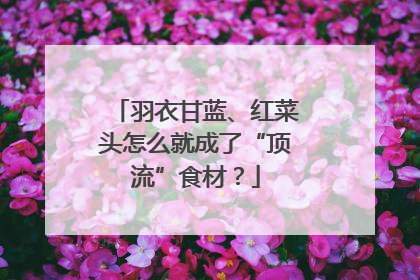 羽衣甘蓝、红菜头怎么就成了“顶流”食材？