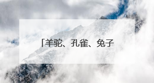羊驼、孔雀、兔子……这些学校藏着 “动物园”？！