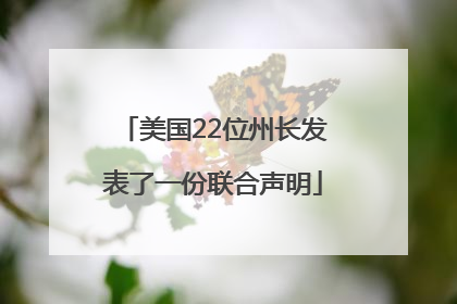 美国22位州长发表了一份联合声明