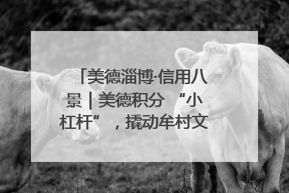 美德淄博·信用八景｜美德积分 “小杠杆”，撬动牟村文明 “大能量”