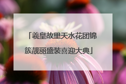 羲皇故里天水花团锦簇靓丽盛装喜迎大典