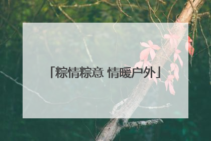 粽情粽意 情暖户外