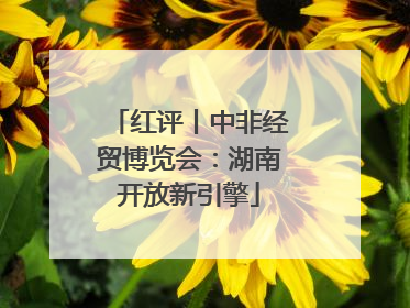 红评丨中非经贸博览会：湖南开放新引擎