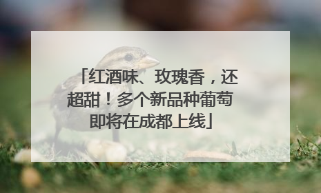 红酒味、玫瑰香，还超甜！多个新品种葡萄即将在成都上线