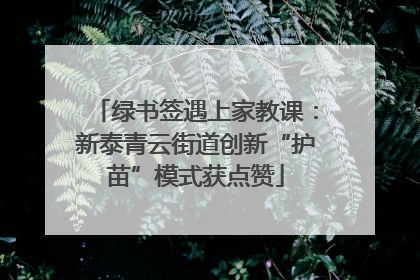 绿书签遇上家教课：新泰青云街道创新“护苗”模式获点赞