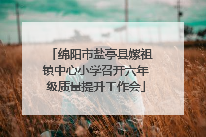 绵阳市盐亭县嫘祖镇中心小学召开六年级质量提升工作会