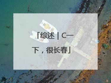 综述｜C一下，很长春