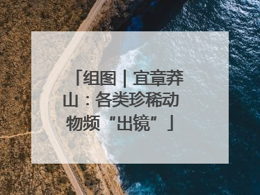 组图｜宜章莽山：各类珍稀动物频“出镜”