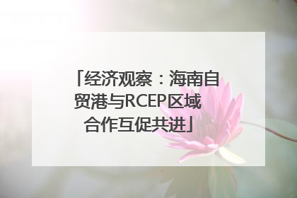 经济观察：海南自贸港与RCEP区域合作互促共进