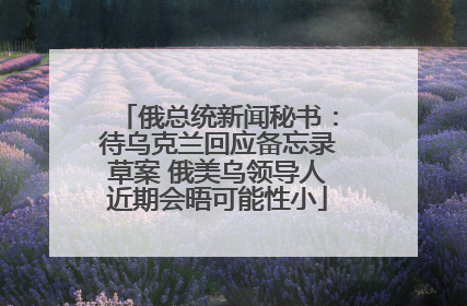 俄总统新闻秘书：待乌克兰回应备忘录草案 俄美乌领导人近期会晤可能性小