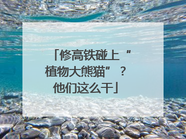 修高铁碰上“植物大熊猫”？他们这么干