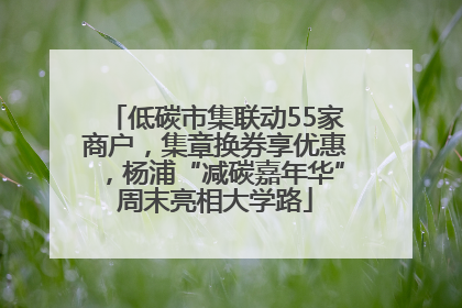 低碳市集联动55家商户，集章换券享优惠，杨浦“减碳嘉年华”周末亮相大学路