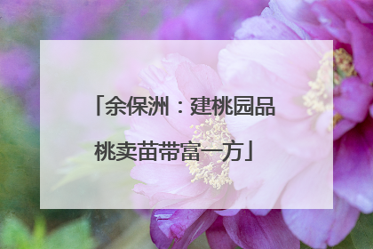 余保洲：建桃园品桃卖苗带富一方