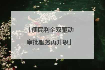 便民利企双驱动 审批服务再升级