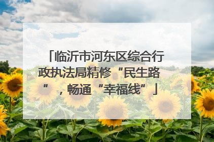 临沂市河东区综合行政执法局精修“民生路”，畅通“幸福线”
