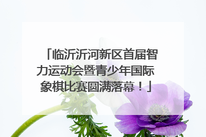 临沂沂河新区首届智力运动会暨青少年国际象棋比赛圆满落幕！