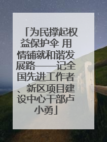 为民撑起权益保护伞 用情铺就和谐发展路——记全国先进工作者、新区项目建设中心干部卢小勇