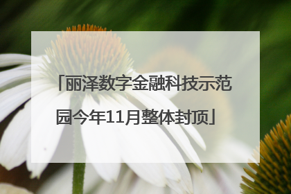 丽泽数字金融科技示范园今年11月整体封顶