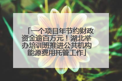 一个项目年节约财政资金逾百万元！湖北举办培训班推进公共机构能源费用托管工作