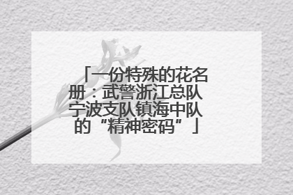一份特殊的花名册：武警浙江总队宁波支队镇海中队的“精神密码”