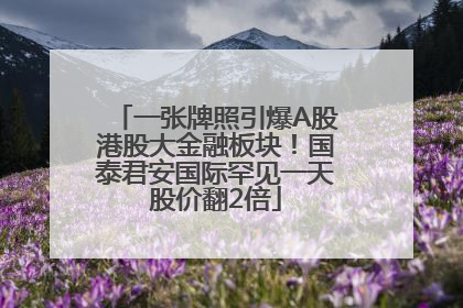 一张牌照引爆A股港股大金融板块！国泰君安国际罕见一天股价翻2倍