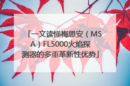 一文读懂梅思安（MSA）FL5000火焰探测器的多重革新性优势
