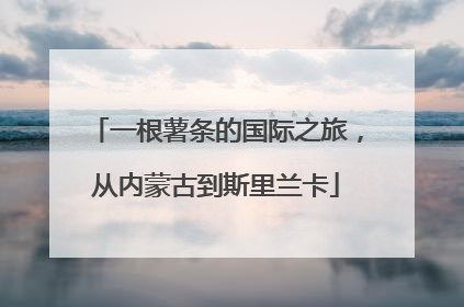 一根薯条的国际之旅，从内蒙古到斯里兰卡