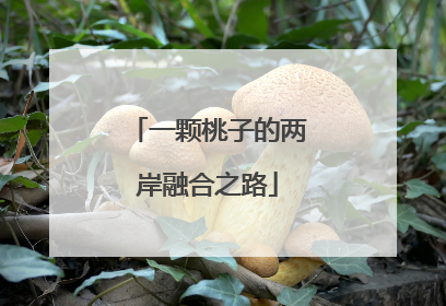 一颗桃子的两岸融合之路
