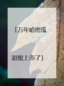 万年哈密瓜甜蜜上市了