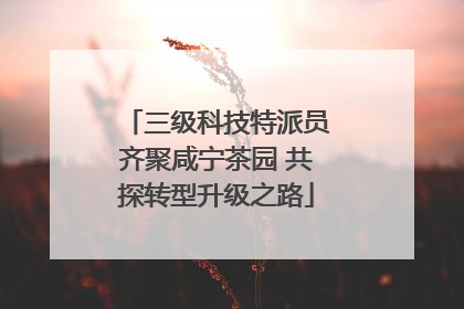三级科技特派员齐聚咸宁茶园 共探转型升级之路