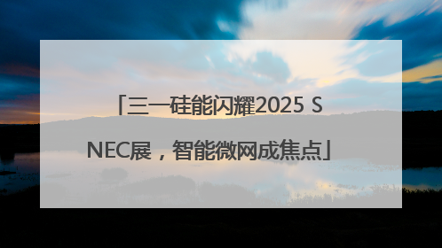 三一硅能闪耀2025 SNEC展，智能微网成焦点