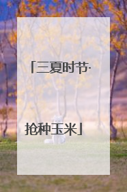 三夏时节·抢种玉米