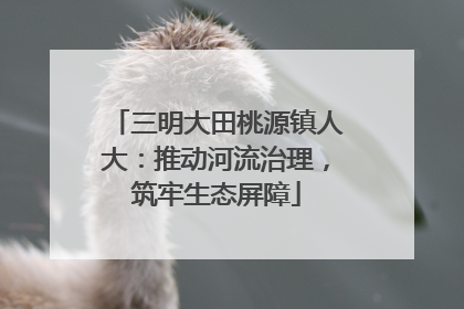 三明大田桃源镇人大：推动河流治理，筑牢生态屏障