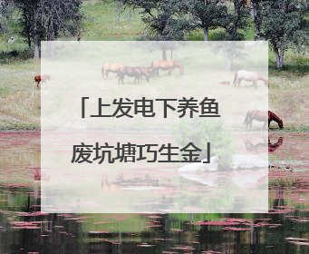 上发电下养鱼 废坑塘巧生金