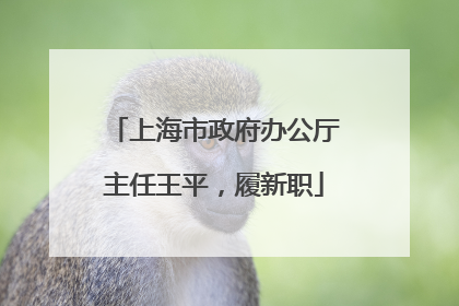 上海市政府办公厅主任王平，履新职