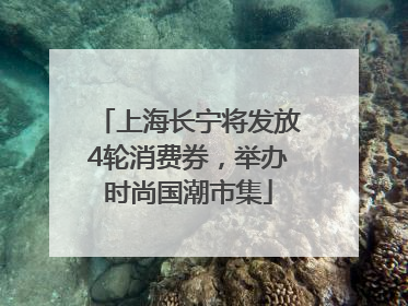 上海长宁将发放4轮消费券，举办时尚国潮市集