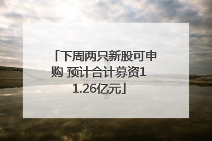 下周两只新股可申购 预计合计募资11.26亿元