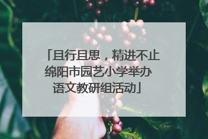 且行且思，精进不止 绵阳市园艺小学举办语文教研组活动