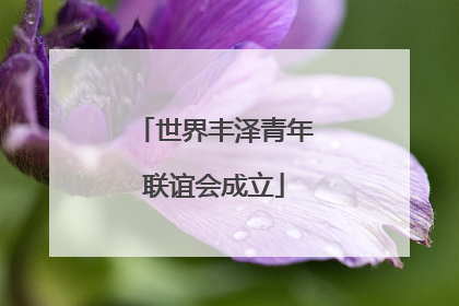 世界丰泽青年联谊会成立