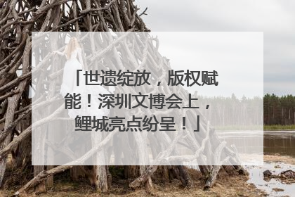世遗绽放，版权赋能！深圳文博会上，鲤城亮点纷呈！