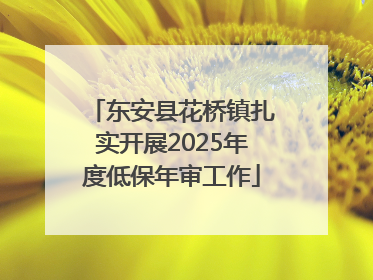 东安县花桥镇扎实开展2025年度低保年审工作