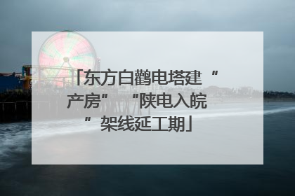 东方白鹳电塔建“产房” “陕电入皖”架线延工期