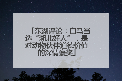东湖评论：白马当选“湖北好人”，是对动物伙伴道德价值的深情褒奖